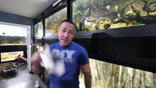 Aquariums Saved My Life (Emotional) Part 1