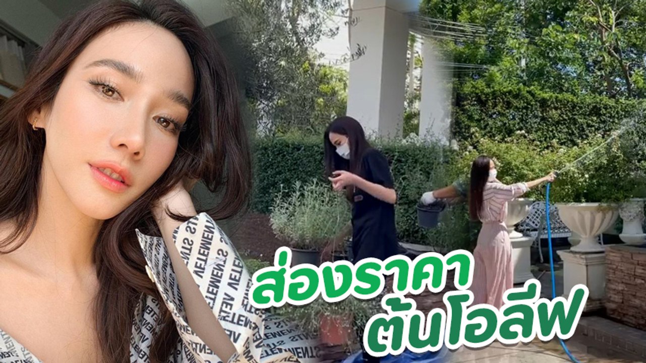 อั้ม พัชราภา ลงทุนซื้อต้นโอลีฟมาปลูกสวนหน้าบ้าน เสริมดวงความเฮง ราคาเบา ๆ แค่ 6 หลัก