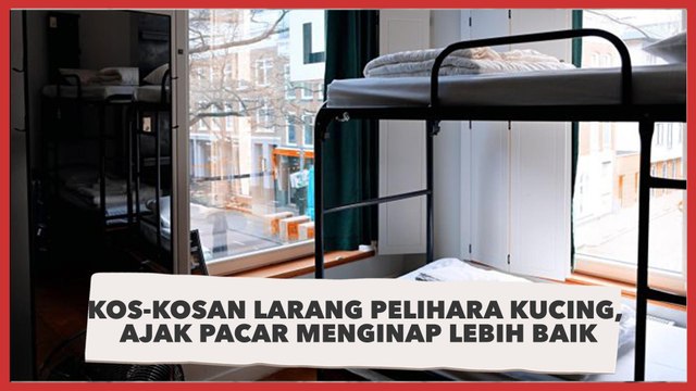 Viral Kos-kosan Larang Keras Pelihara Kucing, Sebut Ajak Pacar Menginap Lebih Baik