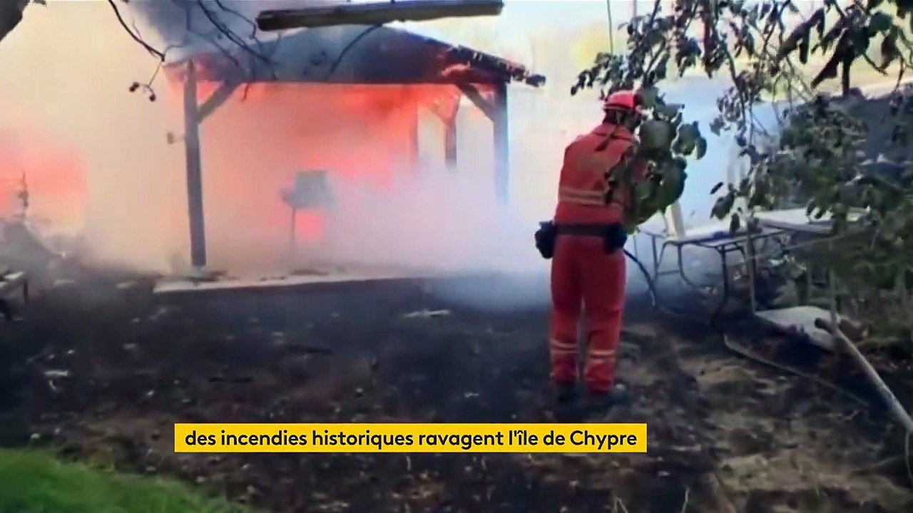 Chypre : incendies de forêt mortels et ravageurs