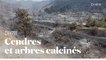 Les vues aériennes des ravages du pire incendie à Chypre depuis des décennies