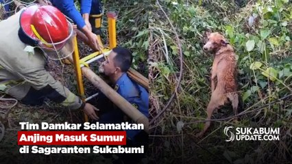 Tim Damkar Selamatkan Anjing Masuk Sumur di Sagaranten Sukabumi