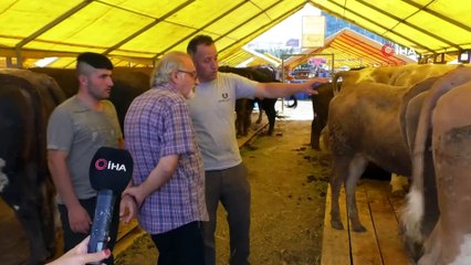 Kurbanlıklar hayvan pazarında satışa çıktı
