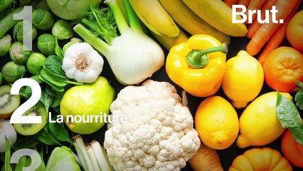 5 moyens de contrer l’extrême chaleur
