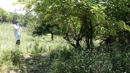 Bursa'da ağaç altına atılmış bebek cesedi bulundu