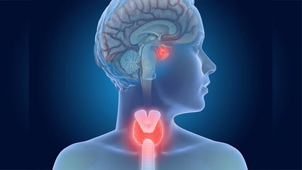 किसी भी उम्र में हो सकती है hypothyroidism की बीमारी, जानिए इसके लक्षण और बचाव के तरीके । Boldsky