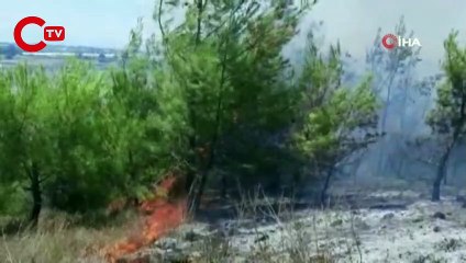 Antalya'da makilik alanda yangın