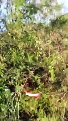 என்னங்க இவர்.. வேலையிலும் ஓடுராரு.. சாலையிலும் ஓடுராரு.. மலையிலும் ஓடுராரே.. செம மா.சு