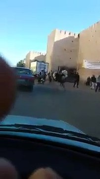 نعامة تسير بسرعة وسط المارة بمدينة مكناس المغربية-Une autruche qui court vite au milieu des piétons dans la ville marocaine de Meknès