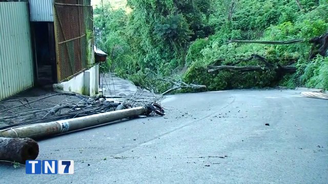 tn7-caida-de-arbol-provoca-problemas-en-sistema-electrico-tibas-y-moravia-050721