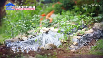 자연과 하나 되는 김보화의 힐링 하우스~❣ TV CHOSUN 20210705 방송