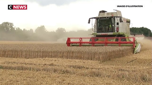 Près de 100% des enfants et adultes seraient contaminés par les métaux lourds
