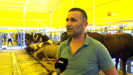 Kurban pazarlarında satışlar başladı