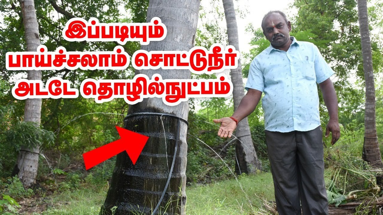 நேரடியாக வேருக்கே போகும் நீர்... விவசாயியின் எளிய சொட்டுநீர் நுட்பம்!  Coconut Drip Irrigation