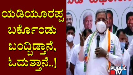 ಹಮಾರ ಕುತ್ತಾ ಹಮಾರ ಗಲ್ಲಿ ಮೇ ಷೇರ್ ತರಹ ಯಡಿಯೂರಪ್ಪ..! Siddaramaiah Mocks CM Yediyurappa