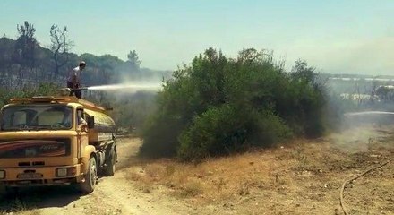 Yangında 15 dönüm makilik alan, 20 zeytin ağacı ve çam ağaçları zarar gördü