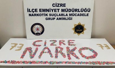 ŞIRNAK'TA KAÇAKÇILIK VE ASAYİŞ OPERASYONLARI: 50 GÖZALTI