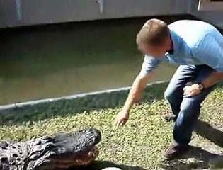 Timsahla şaka olmaz!