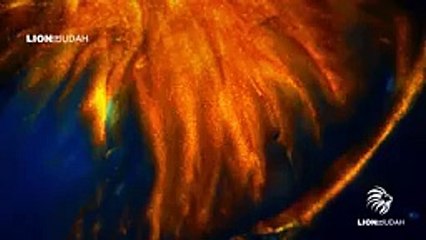 A Powerful Prayer Of Warfare Applying The Blood Of Jesus For Protection  WATCH THIS