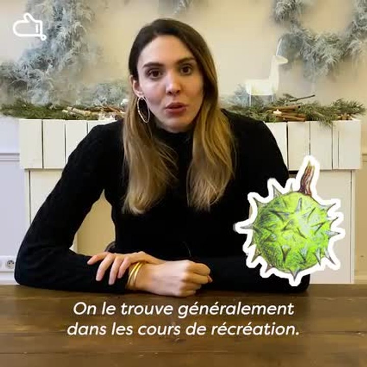 Marron ou châtaigne :quelles différences