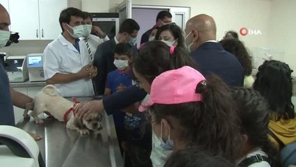 Keçiören'de ilkokul öğrencileri üstü açık otobüsle gezi yaptı