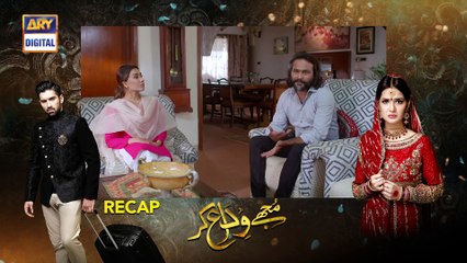 Mujhay Vida Kar Ep 29