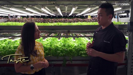 Дубайский рецепт во имя устойчивого будущего