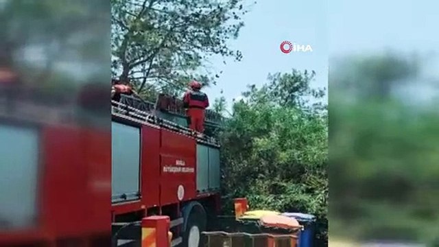 Ağaca dolanan yamaç paraşütü pilotu ve yolcusunu itfaiye kurtardı