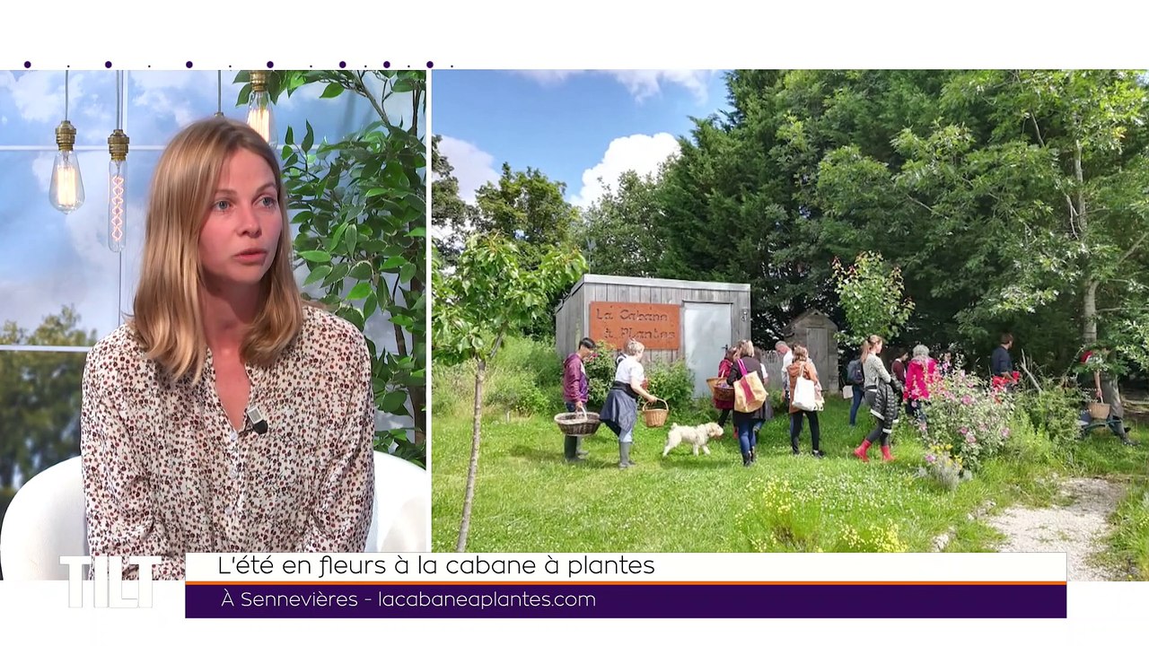 TILT - 05/07/2021 - P2 - L'été en fleurs à la cabane à plantes