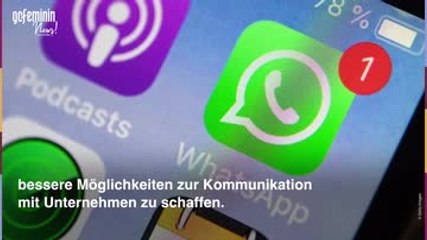 WhatsApp Änderungen: Was ihr jetzt wissen müsst