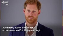 Royals machen BBC für Dianas Tod verantwortlich