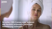 CBD: Was du über das Trendprodukt wissen solltest