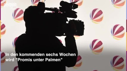 Video herunterladen: Willi Herren: 