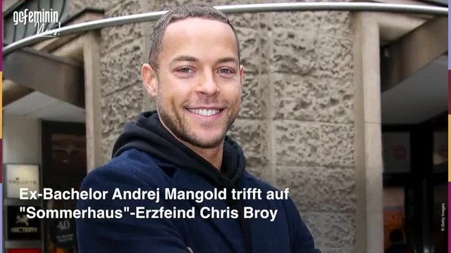 Kampf der Realitystars: 25 Kandidat*innen treten an