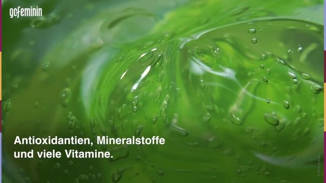 Aloe Vera Creme: Natürliche Pflege für deine Haut