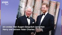 Prinz Harry: So war das Krisengespräch mit den Royals