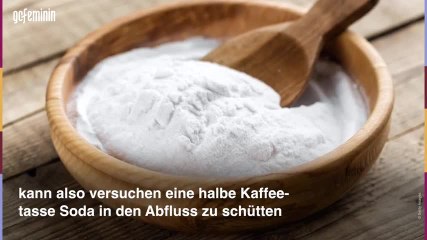 Abfluss stinkt DAS kannst du dagegen tun