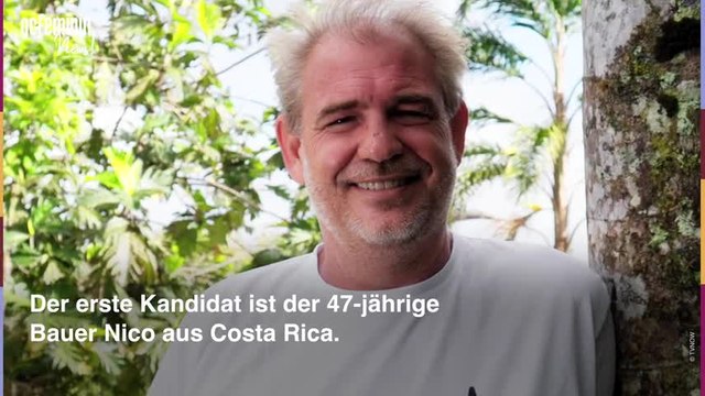 Bauer sucht Frau International 2021: Alle Infos