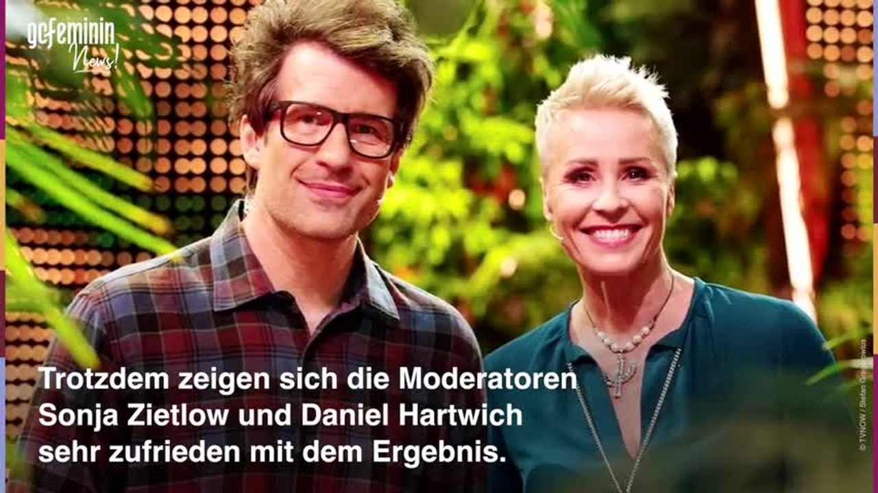 Dschungel: Das sagen Sonja Zietlow und Daniel Hartwich