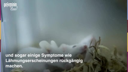 Impfung gegen Multiple Sklerose