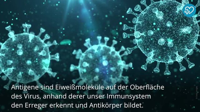 Coronatests: Das sind die Unterschiede