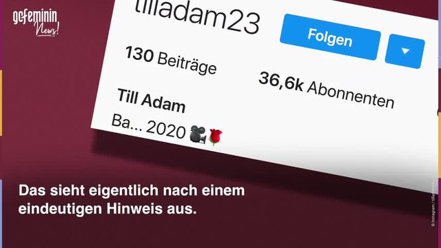 Ist dieser Love Island -Kandidat der neue Bachelor