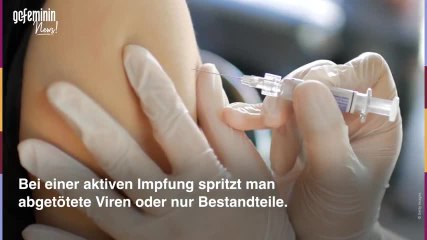 Coronavirus: Passive Impfung in Sicht