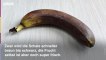 So bleiben Bananen länger frisch