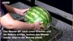 Wassermelone schneiden: So geht's ganz leicht!