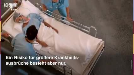 Covid-19: Nehmen Krankheiten tierischen Ursprungs zu