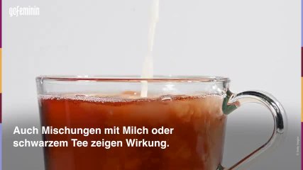 Blattläuse bekämpfen: So werdet ihr sie los!