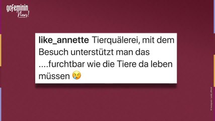 Lukas Podolski: Shitstorm wegen Besuch im Delfinarium