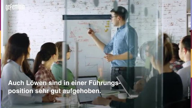 Diese 3 Sternzeichen sind die geborenen Anführer