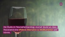 Rotwein bei Depressionen WIBBITZ